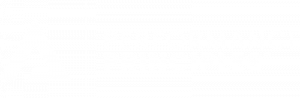 Performance Principles